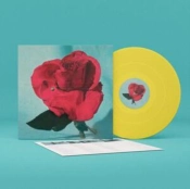 Capa do artigo Up On Gravity Hill - Vinil