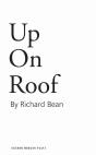 Up On Roof - Preview