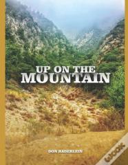 Up On The Mountain