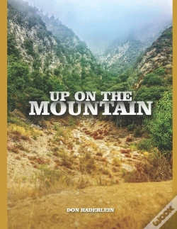 Capa do artigo Up On The Mountain