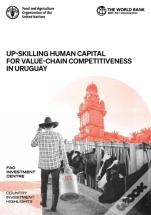 Up-Skilling Human Capital For Value-Chain Competitiveness In Uruguay