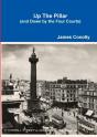 Up The Pillar (And Down By The Four Courts) - Preview