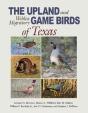 Upland And Webless Migratory Game Birds Of Texas - Preview