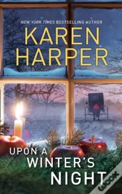 Capa do artigo Upon A Winter