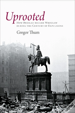 Capa do artigo Uprooted