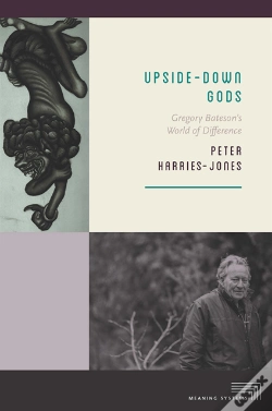 Capa do artigo Upside-Down Gods