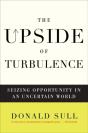 Upside Of Turbulence - Preview