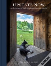 Capa do artigo Upstate Now