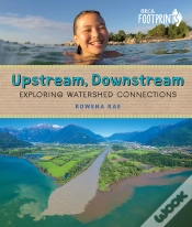 Capa do artigo Upstream, Downstream