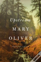 Capa do artigo Upstream