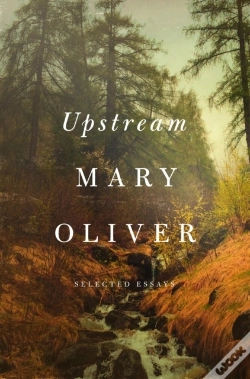 Capa do artigo Upstream