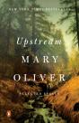 Upstream - Preview