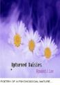 Upturned Daisies - Preview