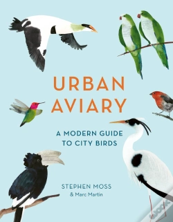 Capa do artigo Urban Aviary
