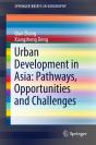 Urban Development In Asia: Pathways, Opportunities And Challenges - Preview