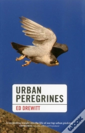 Urban Peregrines