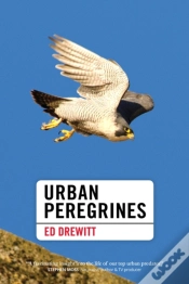Capa do artigo Urban Peregrines