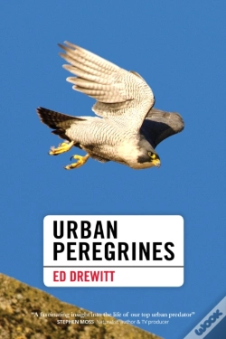 Capa do artigo Urban Peregrines