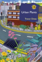 Capa do artigo Urban Plants