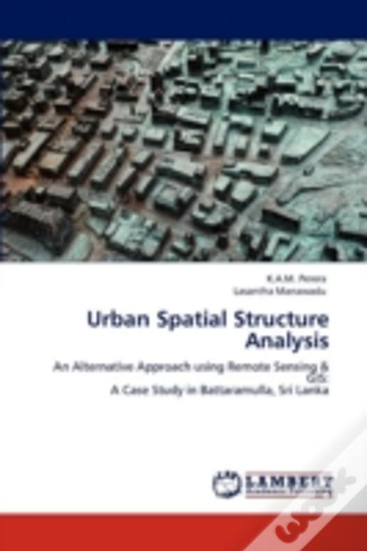 Urban Spatial Structure Analysis