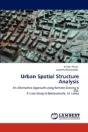 Urban Spatial Structure Analysis - Preview