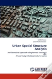 Urban Spatial Structure Analysis