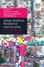 Urban Violence, Resilience And Security - Preview