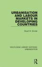 Urbanisation And Labour Markets In Developing Countries - Preview