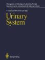 Urinary System - Preview