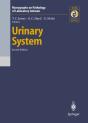 Urinary System - Preview