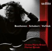 Capa do artigo Ursina Maria Braun: Beethoven/Schubert/Vorísek - CD