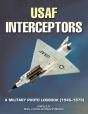 Usaf Interceptors - Preview