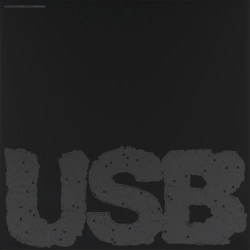 Capa do artigo USB002 - Vinil