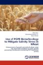 Use Of Pgpr Biotechnology To Mitigate Salinity Stress In Wheat - Preview