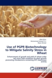 Use Of Pgpr Biotechnology To Mitigate Salinity Stress In Wheat