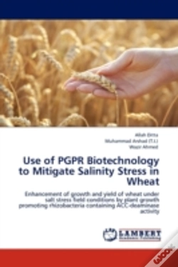 Capa do artigo Use Of Pgpr Biotechnology To Mitigate Salinity Stress In Wheat