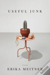 Capa do artigo Useful Junk