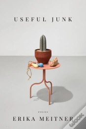 Capa do artigo Useful Junk
