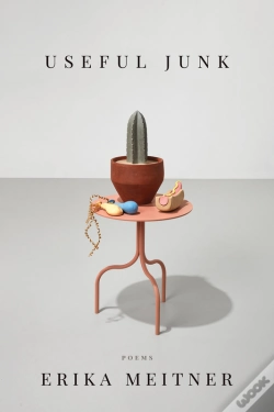 Capa do artigo Useful Junk
