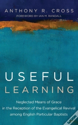 Capa do artigo Useful Learning