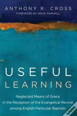 Capa do artigo Useful Learning