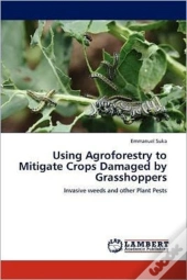 Using Agroforestry To Mitigate Crops Damaged By Grasshoppers