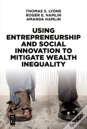 Using Entrepreneurship And Social Innovation To Mitigate Wealth Inequality