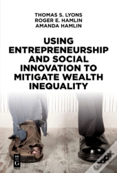 Using Entrepreneurship And Social Innovation To Mitigate Wealth Inequality