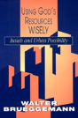 Using God'S Resources Wisely - Preview