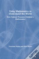 Using Mathematics To Understand The World