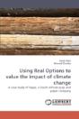Using Real Options To Value The Impact O - Preview