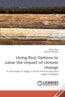 Capa do artigo Using Real Options To Value The Impact O