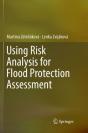Using Risk Analysis For Flood Protection Assessment - Preview