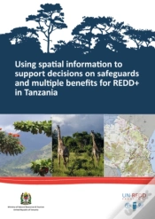 Capa do artigo Using Spatial Information To Support Decisions On Safeguards And Multiple Benefits For Redd+ In Tanzania